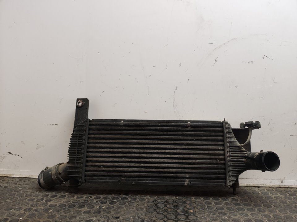 INTERCOOLER 106065