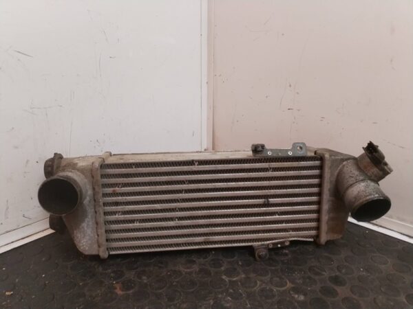 INTERCOOLER 112021