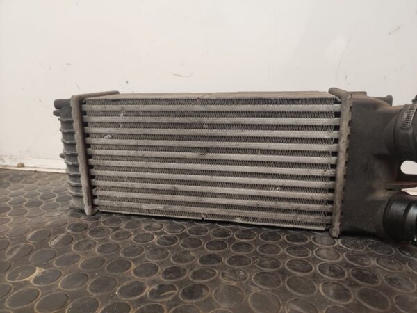 INTERCOOLER 110072