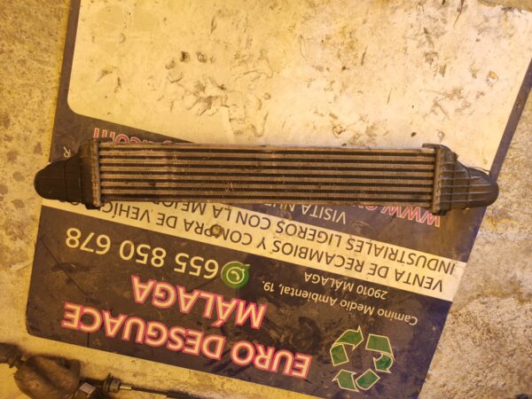 INTERCOOLER 98634