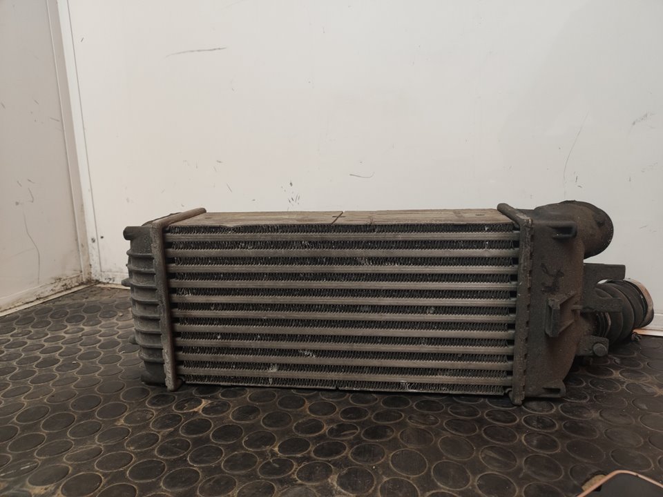 INTERCOOLER 110072