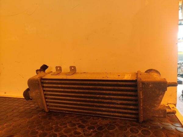 INTERCOOLER 107110