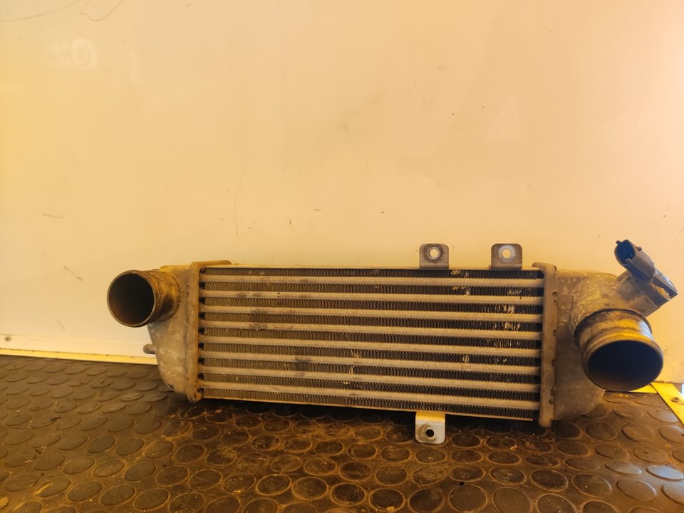 INTERCOOLER 107110