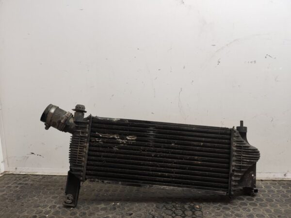 INTERCOOLER 106065