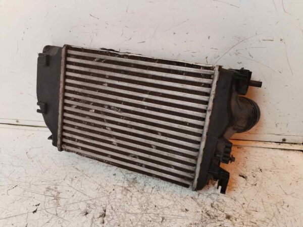 INTERCOOLER 116234