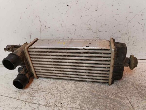 INTERCOOLER 117257