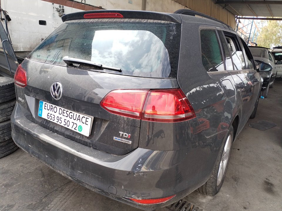 VOLKSWAGEN GOLF VII (5G1/BE1) del 2014