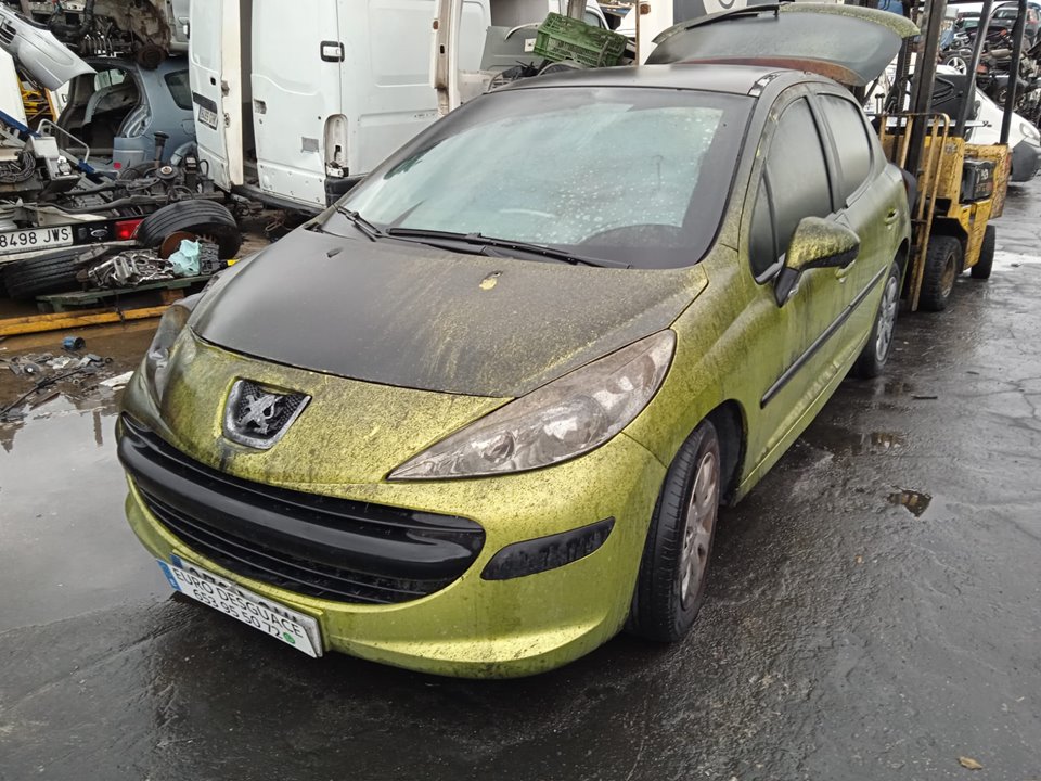 PEUGEOT 207 del 2009