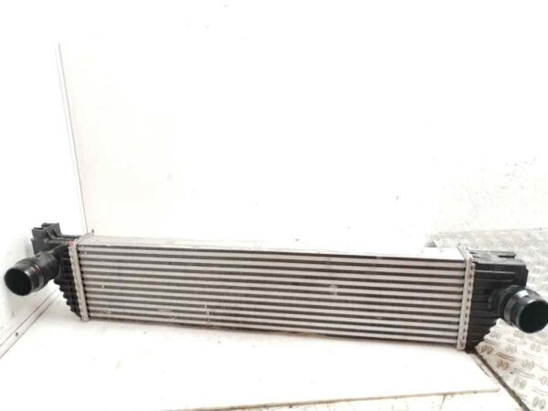 INTERCOOLER 124658