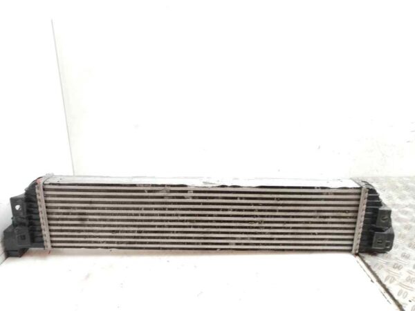 INTERCOOLER 124658